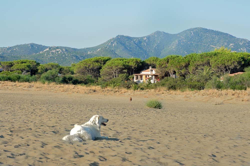 Mirto E Mare Bed & Breakfast *