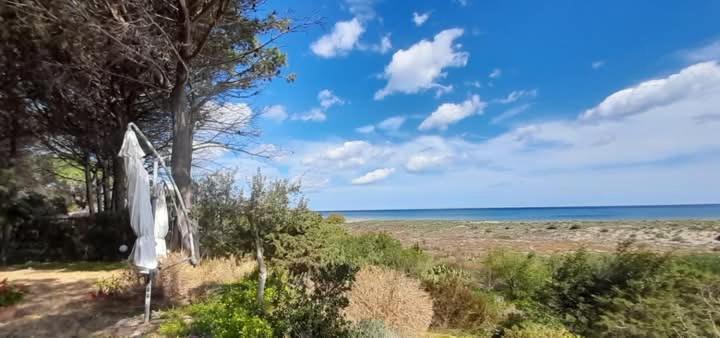 Mirto E Mare *